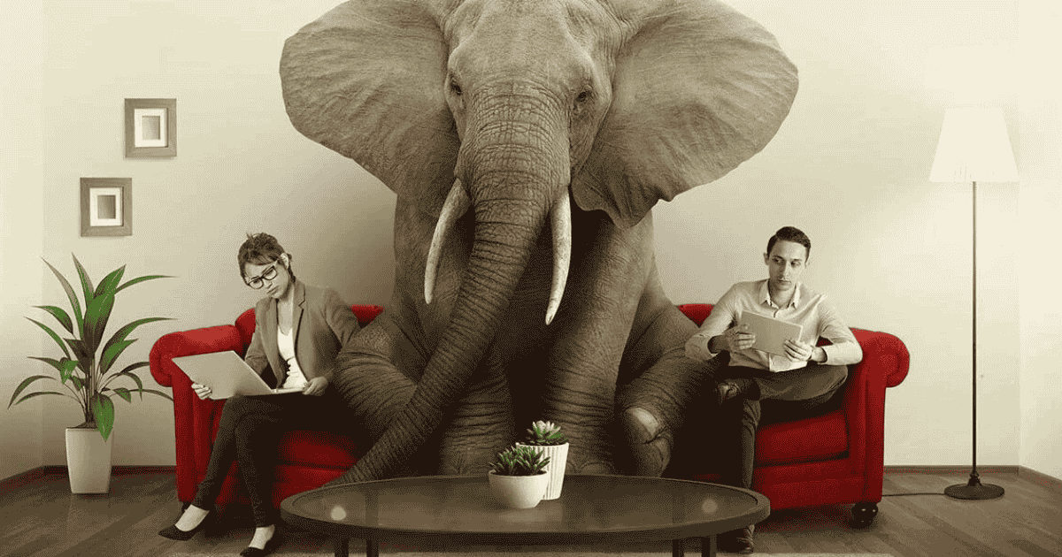 Elephant Names Unique Creative Funny Cool & Cute