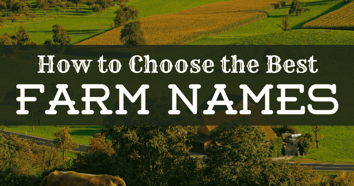 Things to Keep in Mind When Choosing a Nickname
