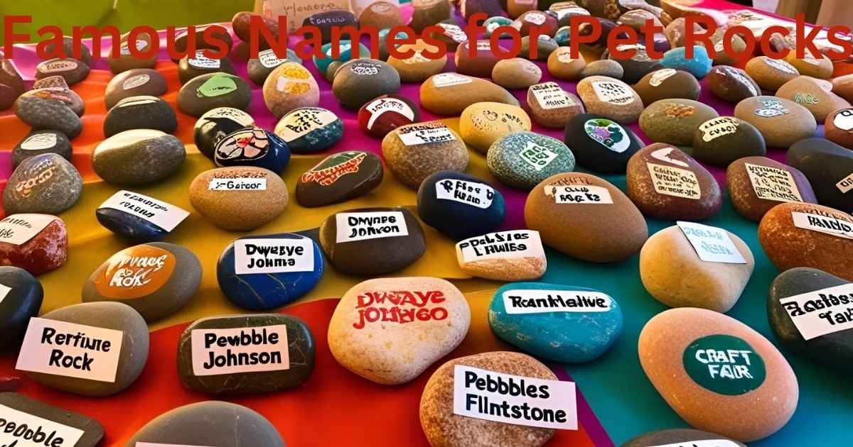 Famous Names for Pet Rocks