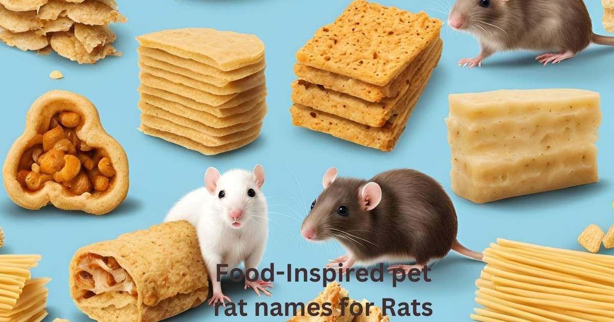 Food-Inspired pet rat names for Rats