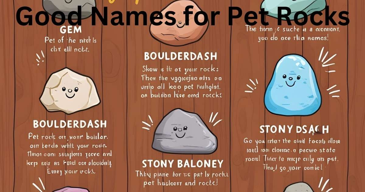 Good Names for Pet Rocks