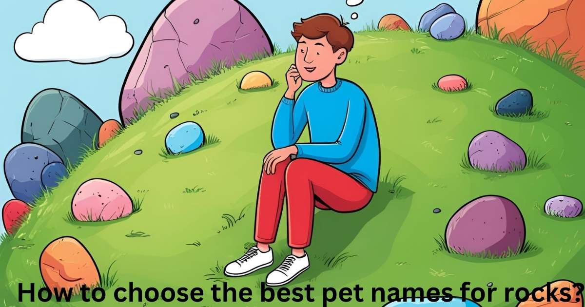 How to choose the best pet names for rocks?